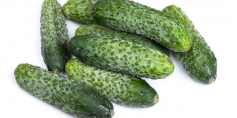 Furor krastavci: recenzije, fotografije, prinos